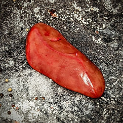 S-Niere – frisch vom Metzger